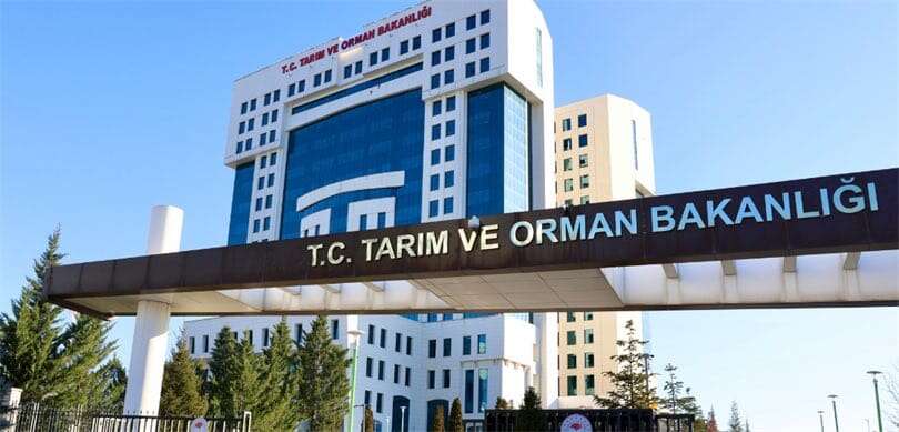 Tarım ve Orman Bakanlığı: Türkiye'de Çekirge İstilası Yok, İstanbul'daki Tür Tarıma Fayda Sağlıyor 2